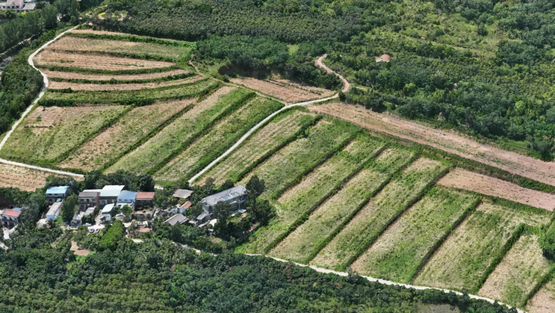 BC����(�й���)�ٷ���վ