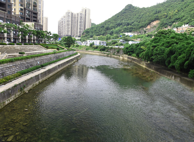 BC����(�й���)�ٷ���վ