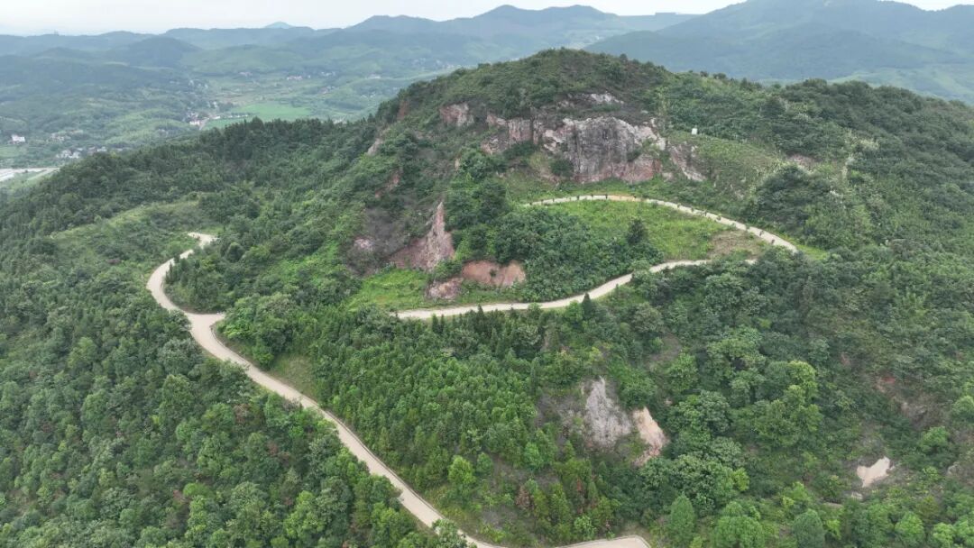 BC����(�й���)�ٷ���վ