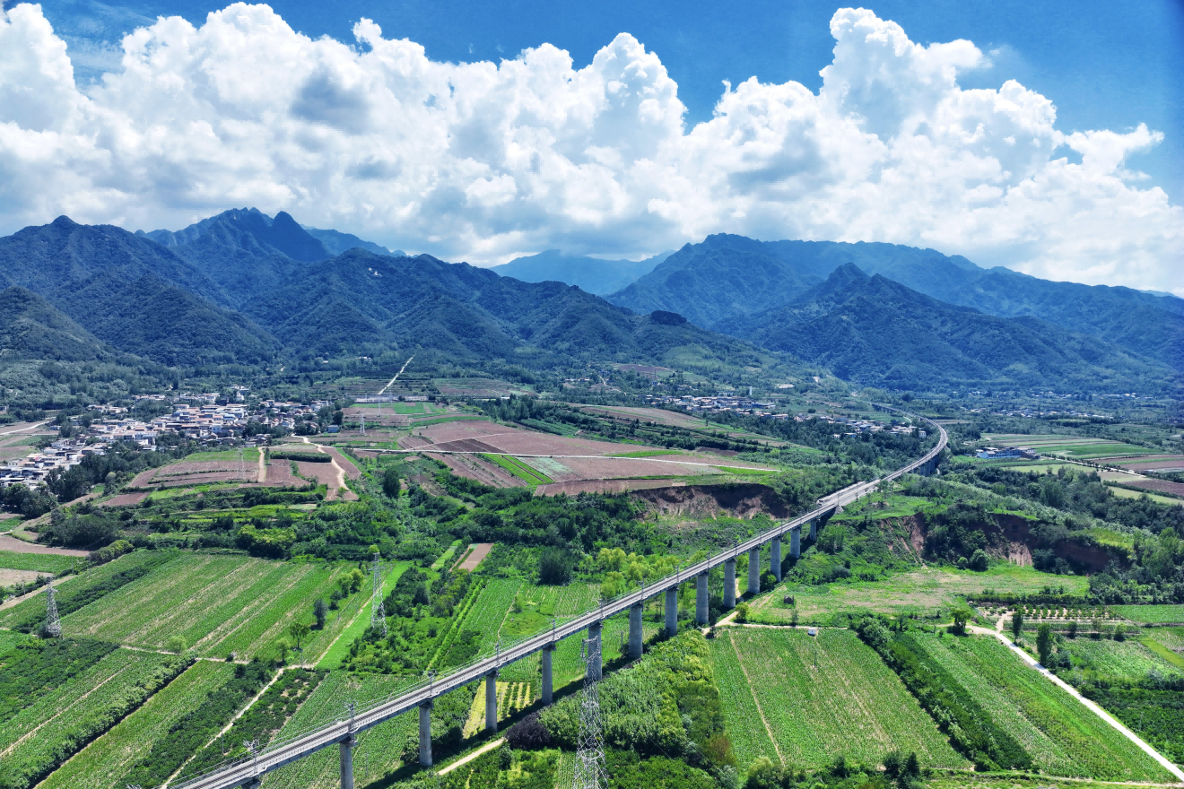 BC����(�й���)�ٷ���վ