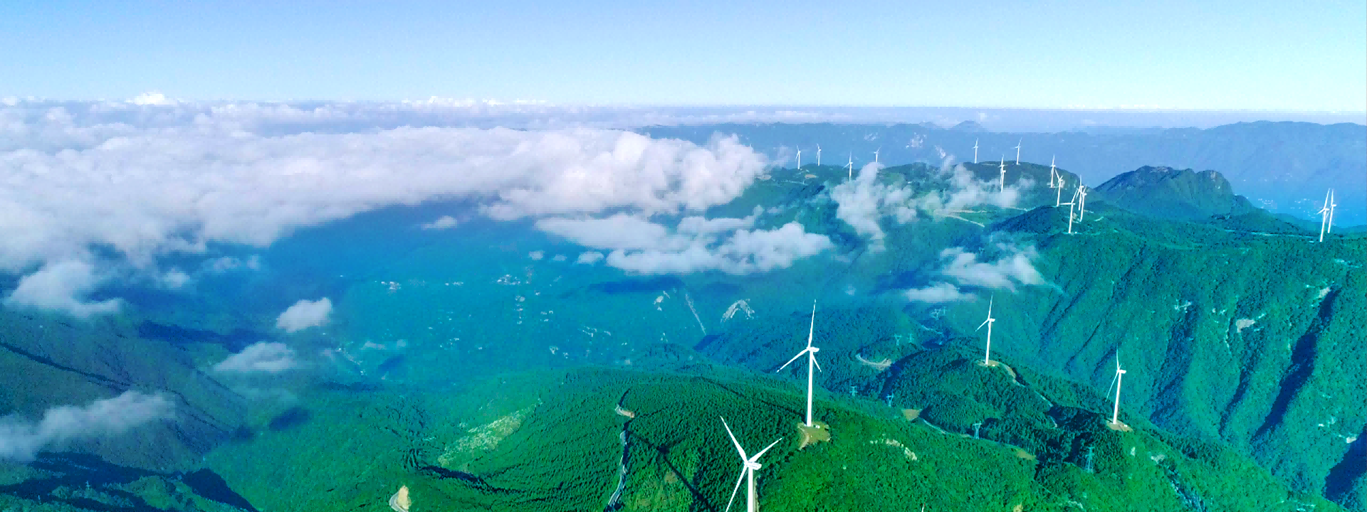 ��Ϊ����һ�����ܻ�����ȫ��ҵ����