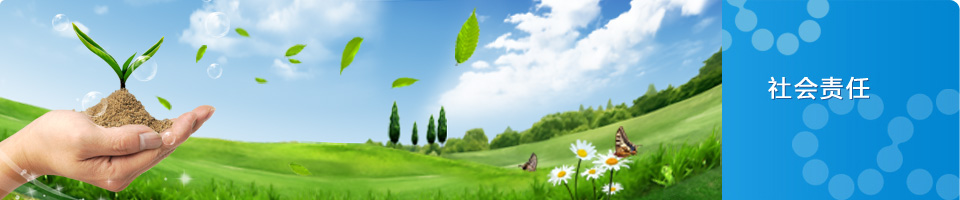 BC����(�й���)�ٷ���վ