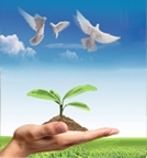 BC����(�й���)�ٷ���վ