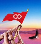 BC����(�й���)�ٷ���վ